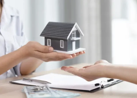 Property & Maintenance